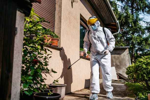 Best Affordable Pest Control Services  in Tremont, PA