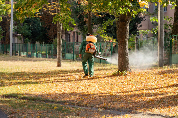 Best Local Pest Control Services  in Tremont, PA