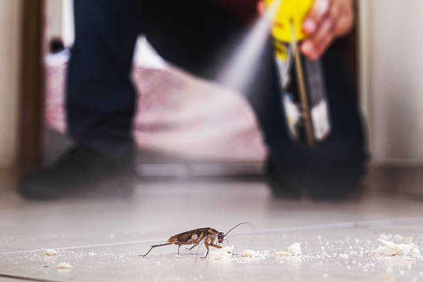 Best Best Pest Control Companies  in Tremont, PA